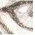 :iconjedday: