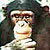 :iconjedigirl2001: