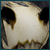 :iconjeecore: