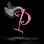 :iconjeepprincess: