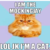 :iconjeeves-shirshood: