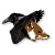 :iconjeffehunter: