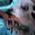 :iconjeffroberts: