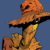 :iconjekyll52: