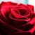 :iconjelena1631: