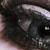 :iconjelly-babie-queen:
