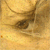 :iconjelly-belly-bean22: