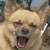 :iconjellybeangiraffe: