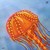 :iconjellyfish6: