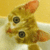 :iconjellyfishofgod: