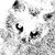 :iconjellyjey: