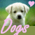 :iconjellylittlebelly: