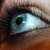 :iconjellymytoast: