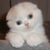 :iconjellynuts:
