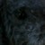 :iconjellypinkfish: