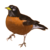 :iconjellyturkey: