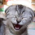 :iconjellywad: