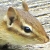 :iconjembloodgood: