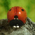:iconjen-and-kris: