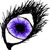 :iconjen-ever: