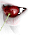 :iconjen-town: