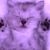 :iconjen2787jen1584: