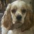 jencerdiaries :iconjencerdiaries: