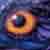:iconjendragon: