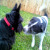jeneveere :iconjeneveere:
