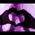 :iconjenfaulisi: