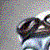 :iconjengu: