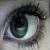 :iconjeni-shadow: