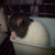 :iconJenilyn88: