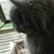 :iconjenjen-92: