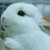 :iconjenjenjenniadeng:
