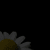 :iconjenna174: