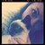 :iconjennamaelee: