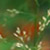 :iconjennamk: