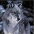:iconjennawesome228: