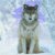 :iconJennerWolfe: