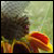 :iconjenniferhonea: