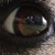 :iconjennor: