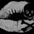 :iconjenny-photography: