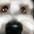 :iconjenny42: