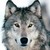 :iconjenny490: