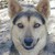 :iconjennym-pics: