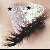 :iconjennypenny191: