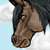 :iconjennyshep5: