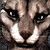 :iconjennythekhajiit: