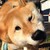 :iconjensens-angel: